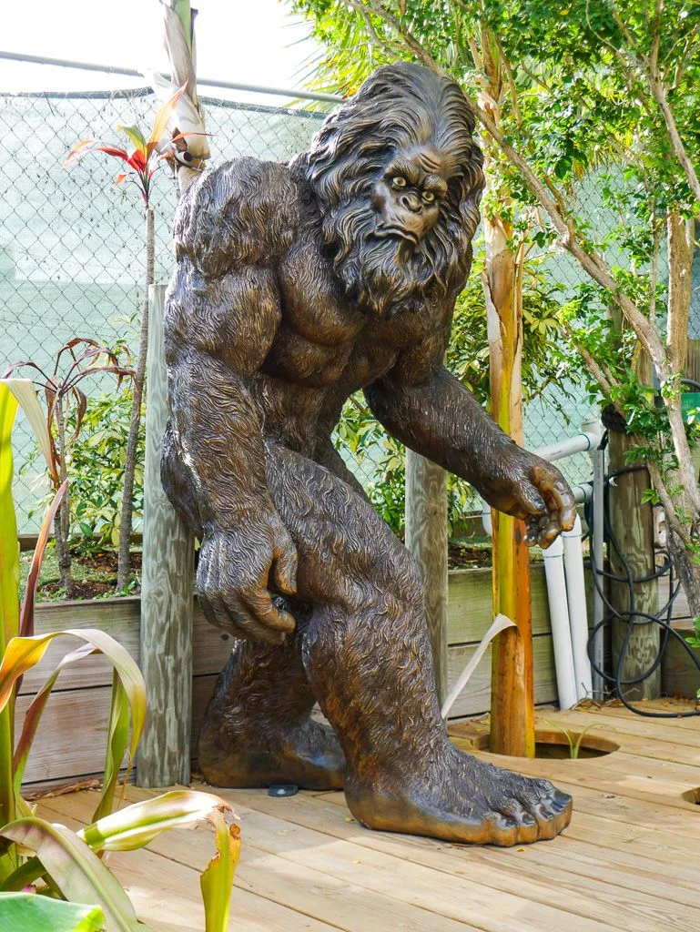 Gator Golf Adventure Park, business photo 3