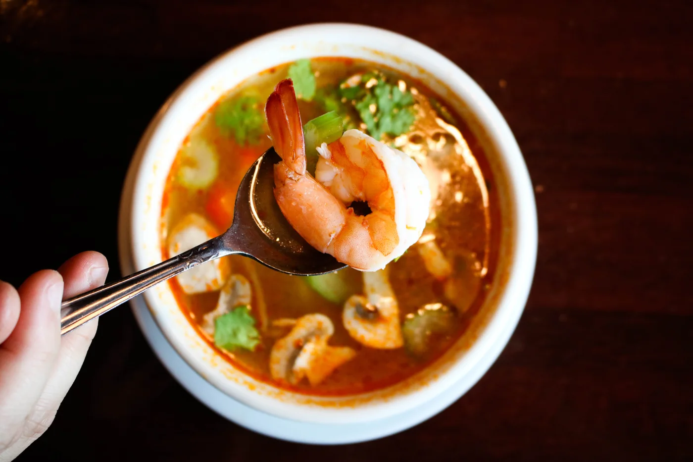 Thai House of Orlando business photo