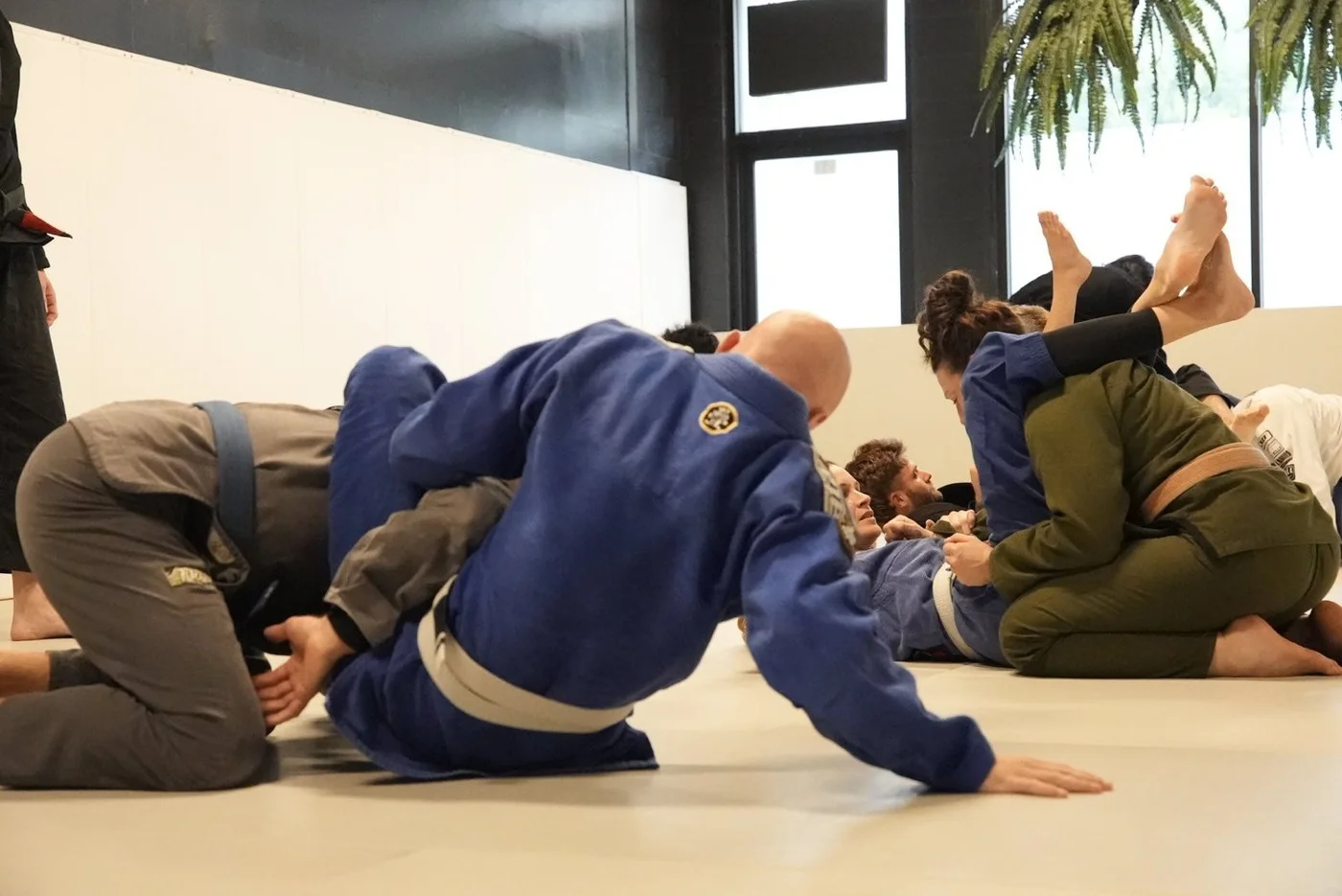 The Orlando Grappling Club, business photo 2