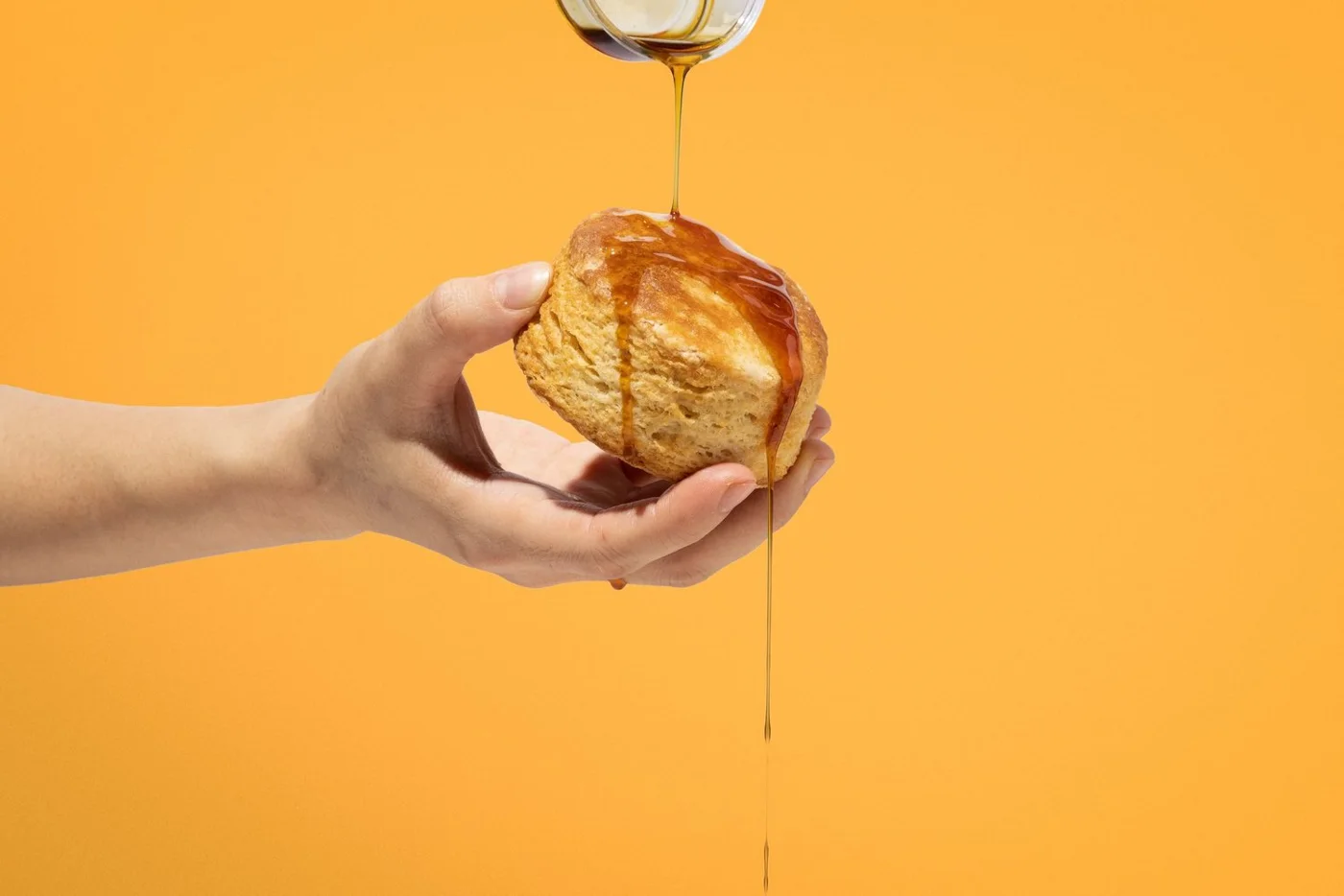 Winter Park Biscuit Company, business photo 2